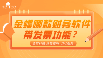 金蝶哪款财务软件带发票功能