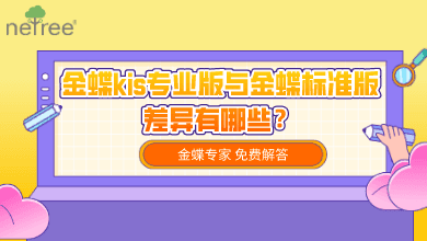 金蝶kis专业版与金蝶标准版的差异有哪些？