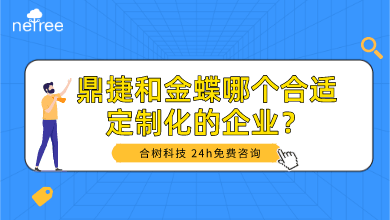 鼎捷和金蝶哪个合适定制化的企业？