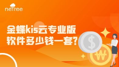 金蝶kis云专业版软件多少钱一套？