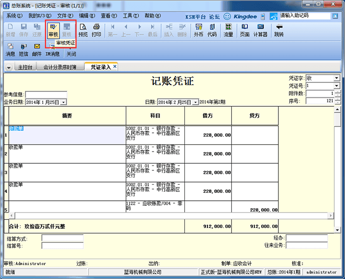 凭证审核选项