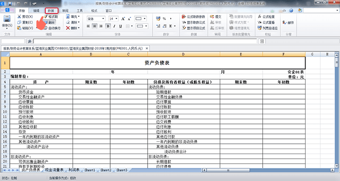 报表数据编辑选项