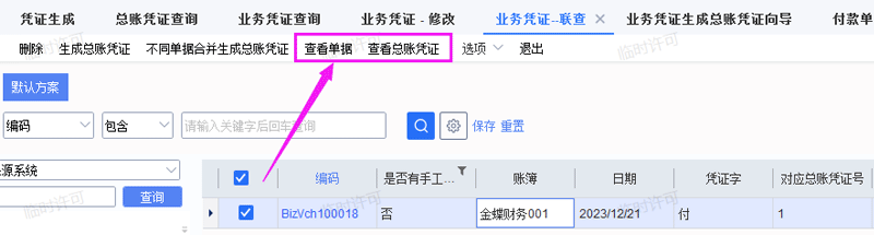 查看总账凭证
